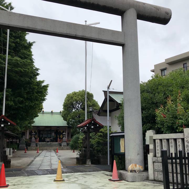 B143c4c5 7426 4549 ac40 4e2abef1cf1a 1525950028198