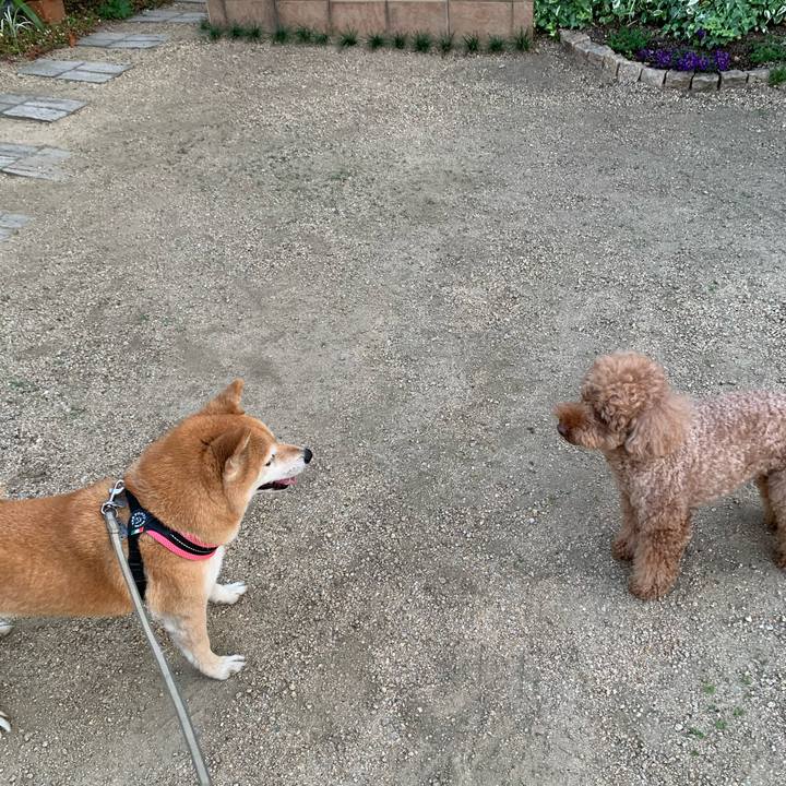 B143d327 f273 4400 b188 b97cf134acb6 1591715055887