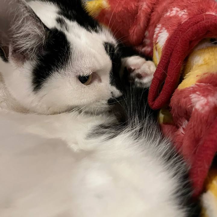 B143ed34 9c08 4e52 a67a b1469b58659b 1763991185525