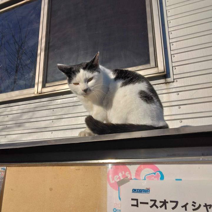 B143f969 fb78 422c 96d9 4f6881ca194a 1703417864560