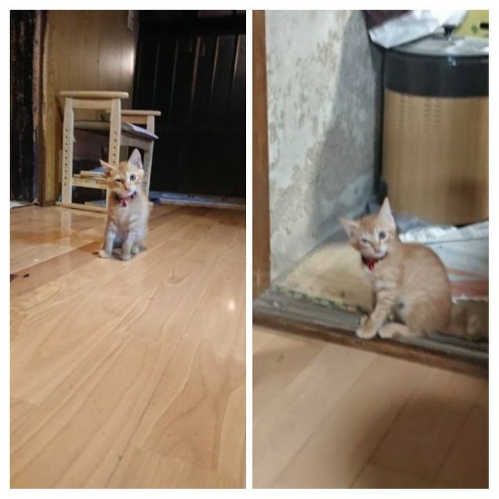 B143fe78 dad7 4a4d 8750 4319407eb4d8 1629976698487