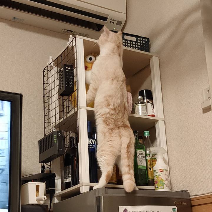 B14415d2 b1f3 49ea 850c d8e213505390 1658264331490