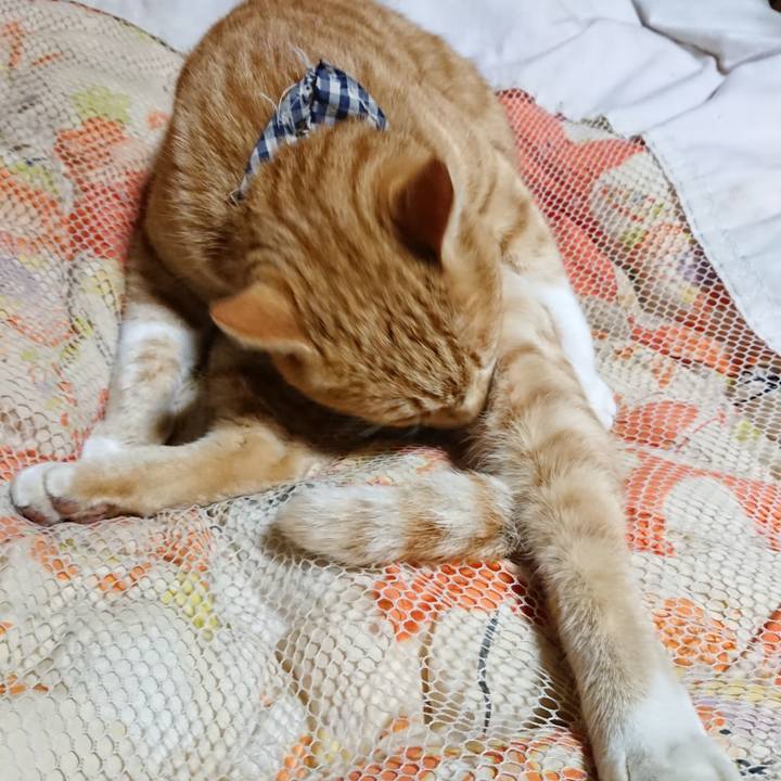 B1443535 6e07 4231 857c 3f3012ea8296 1573647979105