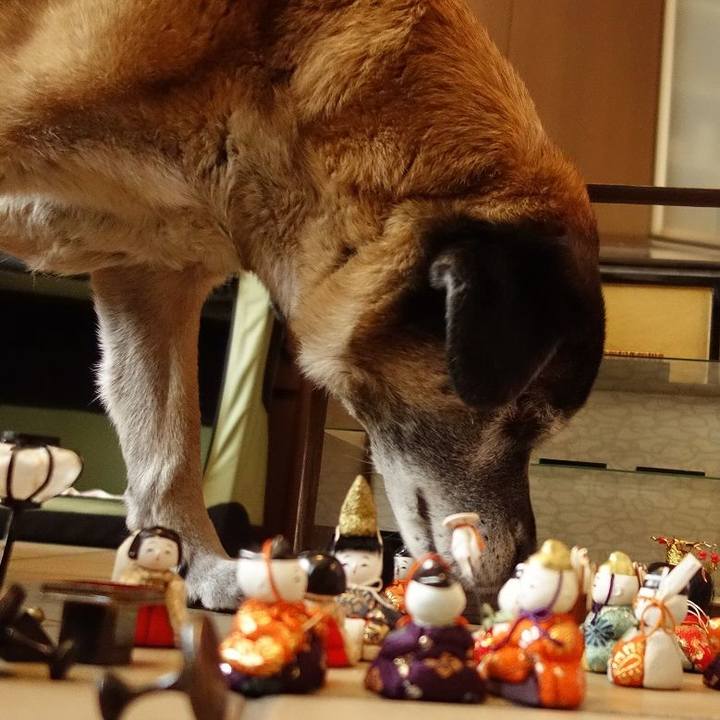 B144476f 9a74 47c6 a223 1a3e8205bfa9 1520044153710