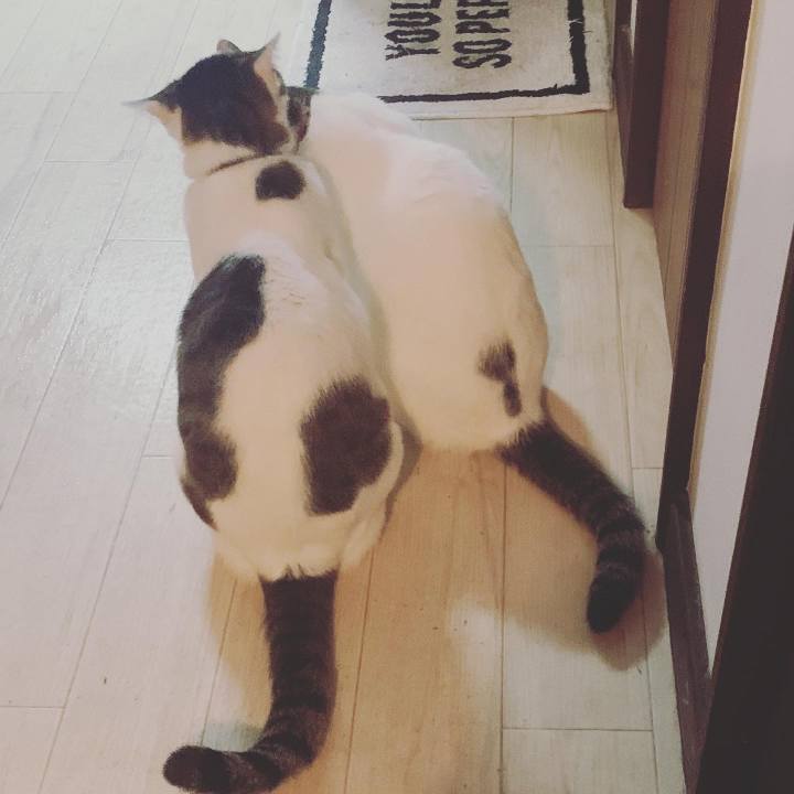 B1446816 5705 4bc9 982b af4f82cab774 1649690167410