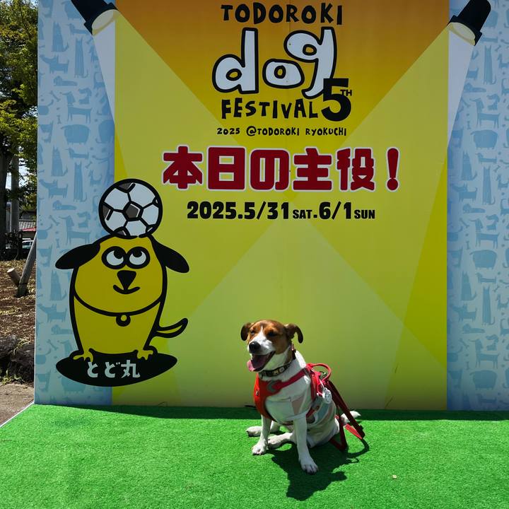 B144bb24 e1db 4e3f b1ef 17d47ba91da3 1748783815408