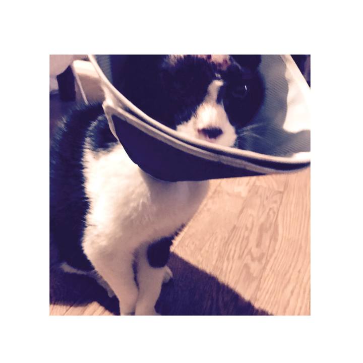 B144dfd3 ca5d 4ab6 b429 be8b3890e115 1578736395632