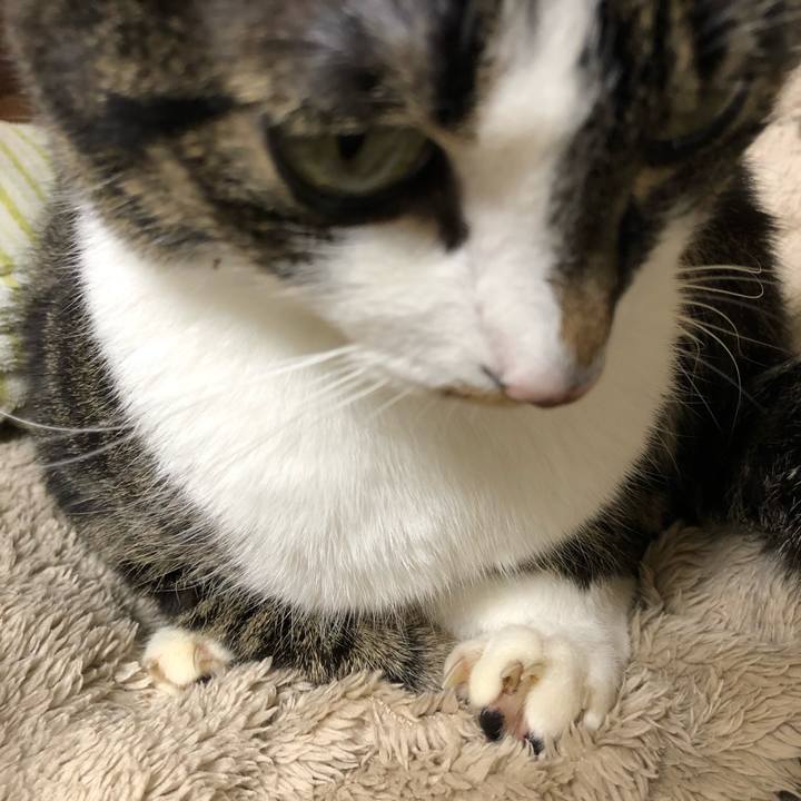 B1453a9b 743b 4e1e 9754 429e7293f6f3 1547240766551