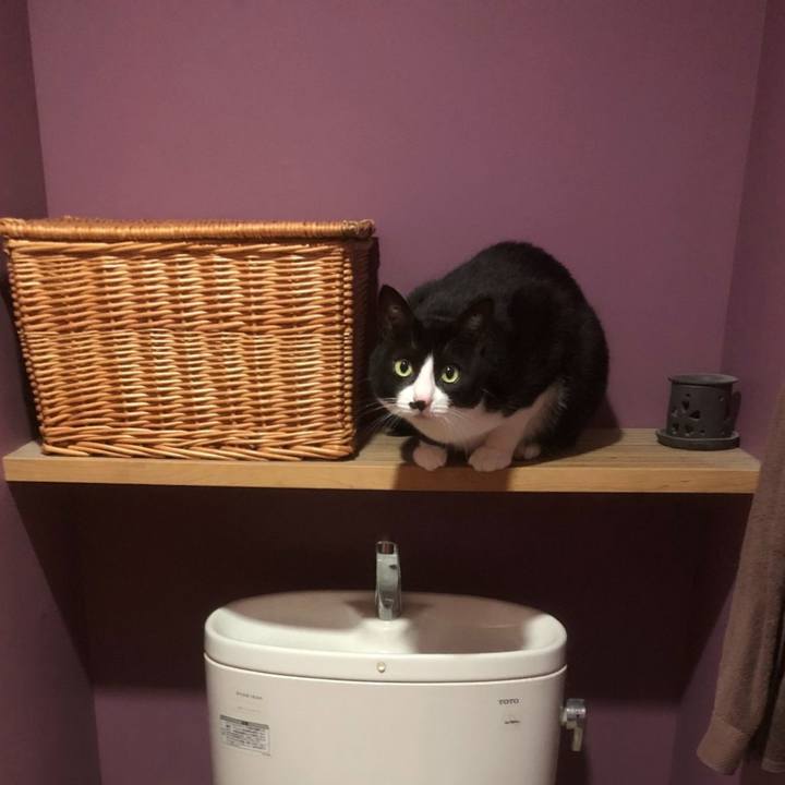 B14557f7 7239 4abc 877f 1d8ceeaa8d34 1596268551262