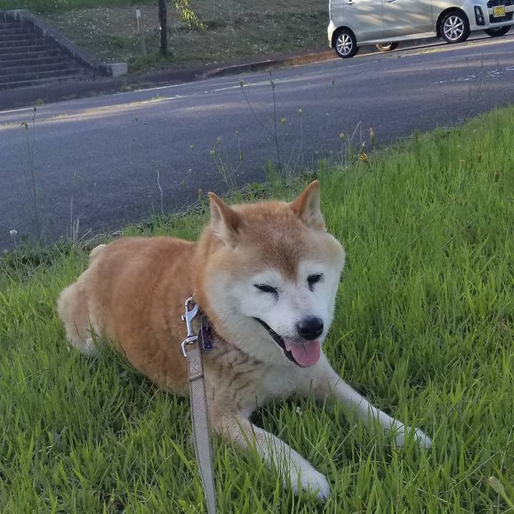 B1455aa2 4dab 40b1 8c87 8e80f8345bf4 1718785730828