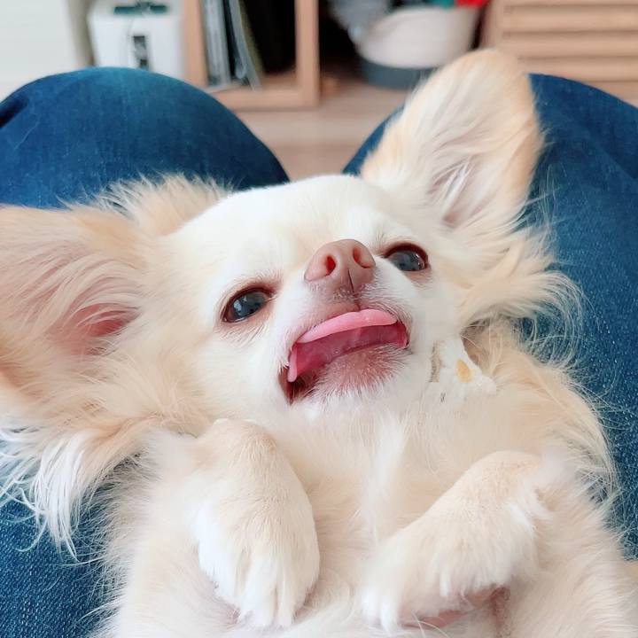 B145b194 8c33 4103 af25 cc3295813d30 1712367277228