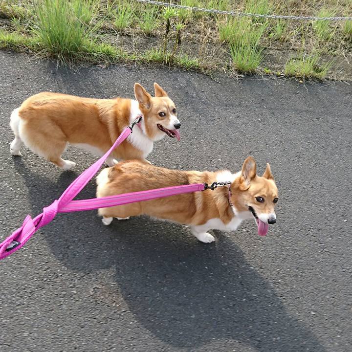 B145b50b 4a0b 4401 9198 01d2fe3f4417 1528842371114