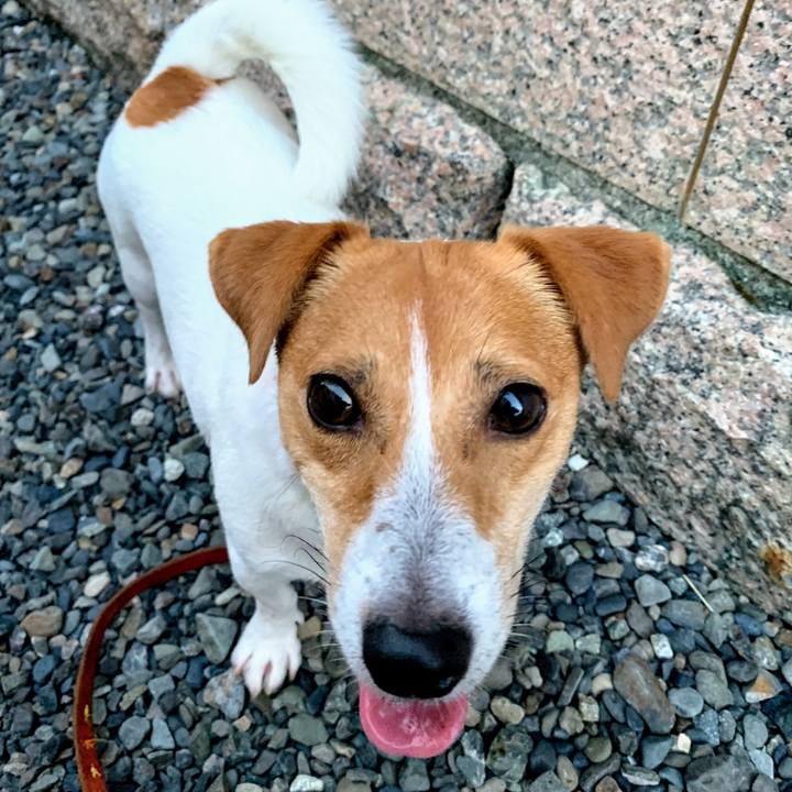 B145c2c1 c5df 4841 89ae 2af5f0d22a0a 1564742214184