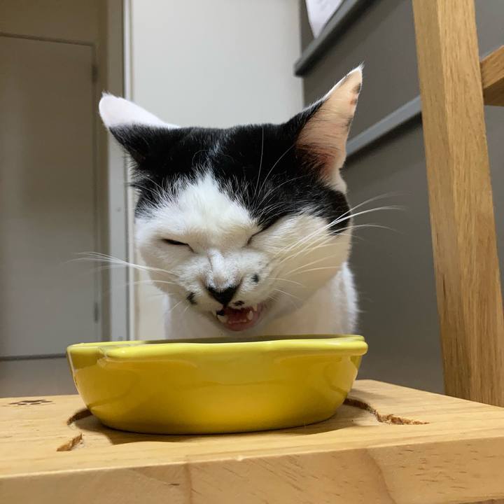 B145c5fa 6542 4ff7 add6 2e295795ed50 1758141853900