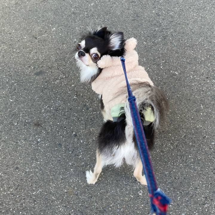 B145e477 2ad9 4a40 a8c2 205a00adb3fa 1707720780419