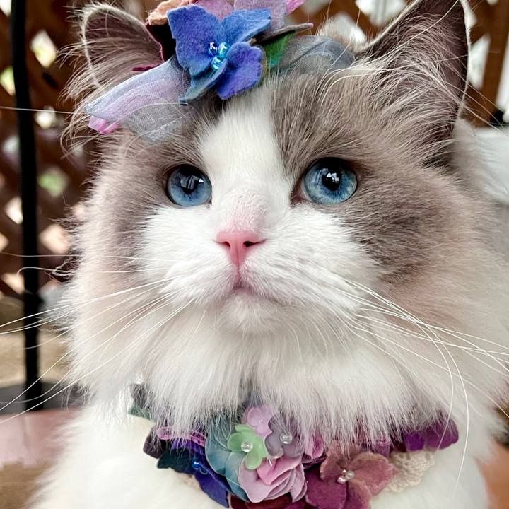 B145ec9e 3cd1 4264 a365 438ace177d4f 1654338009064