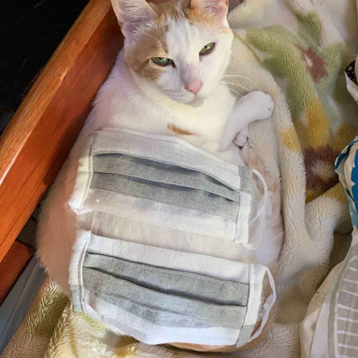 B14665ec e0b5 4b99 ba7c 107146e805e6 1588148237958