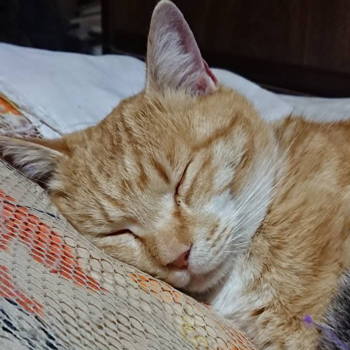 B1466a6d 5c00 4a12 b188 f3bac8f4ac5c 1584537063932