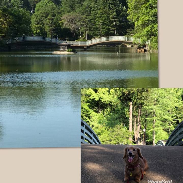 B146768e 3231 48a4 ae58 6dde7920bd0b 1558768662152