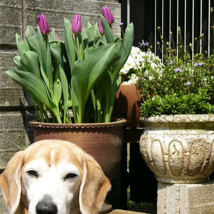 B14684c8 e301 40a0 a7c3 f5909e60ecdf 1662595559676