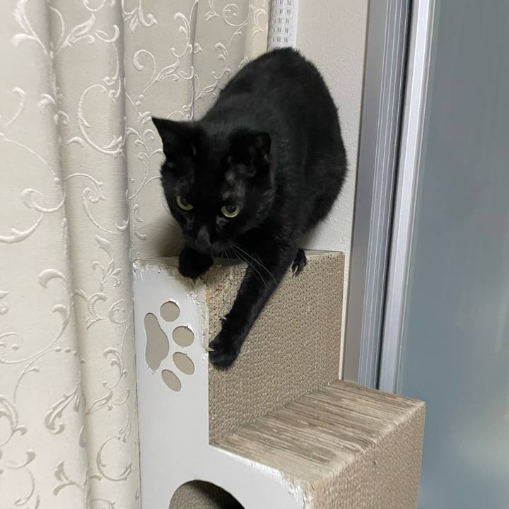 B146c010 9712 47a3 984d ba26ab3d0cfa 1749044636597