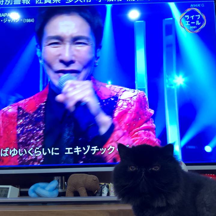 B146e5e1 25aa 4e9e a45a 857b4e48641b 1628936295488