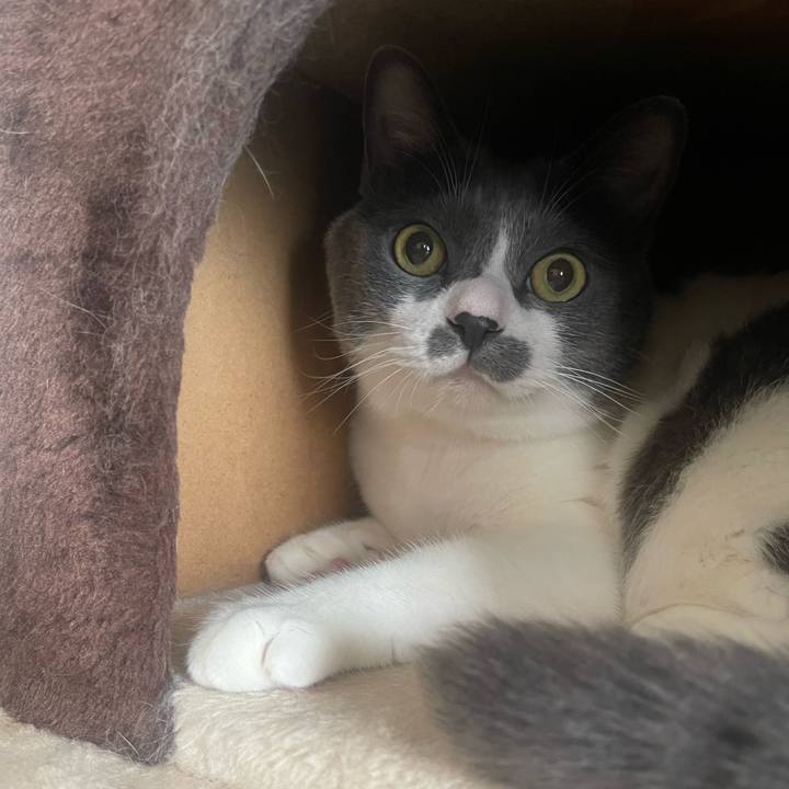 B146f389 08b3 403d aa71 2abfc9e09b23 1755994410202