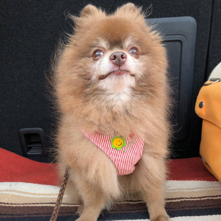 B1475b35 9be9 44d1 8038 c6f86bfbc310 1596770430729