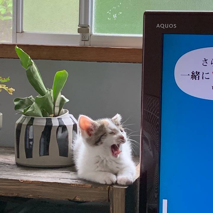 B14779f3 e2a8 44bc b232 bbb5f509d3ed 1591415020671