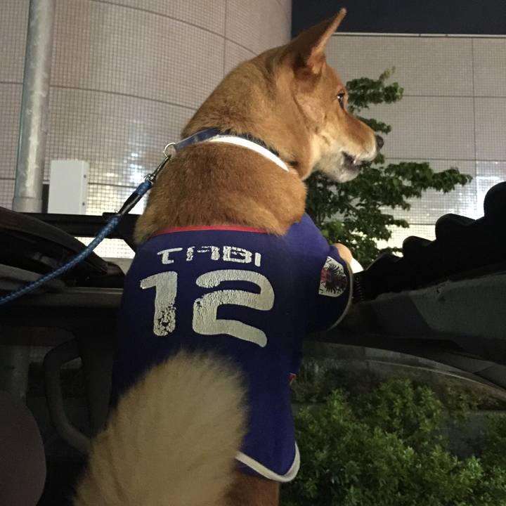 B147ae1b 1861 4094 bee8 f69ec9c5e2f5 1529275410316