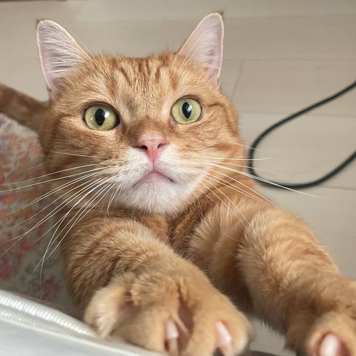 B147d108 e171 4e41 94f0 cf609ab02490 1759499104155