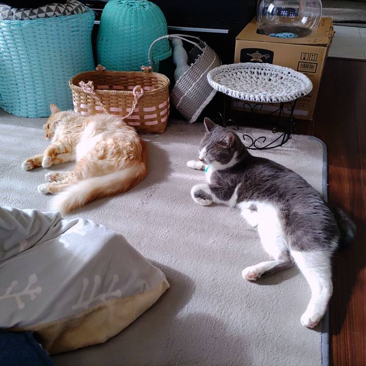 B147d1c3 ceb3 44e4 b818 eaac35771372 1669431217825