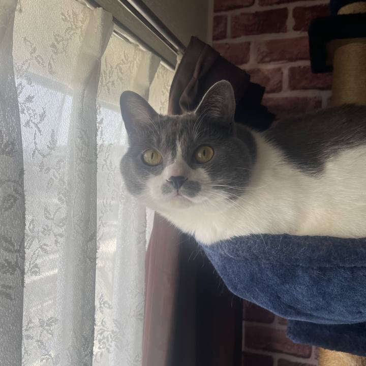 B147d7b2 42e0 468e 8885 fb4a6067e134 1681351735824