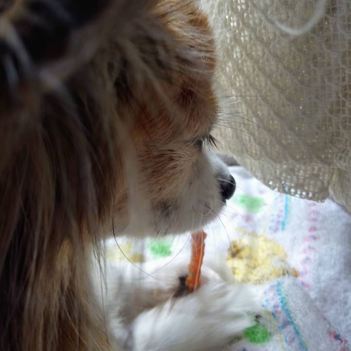 B1481a3a 74ab 45a8 a950 c0f17d75b5d1 1533259465424