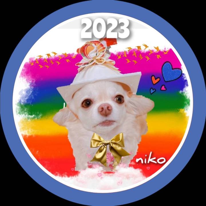 B14821e8 9c17 43fa a1d6 51fd74281cb9 1673928576360