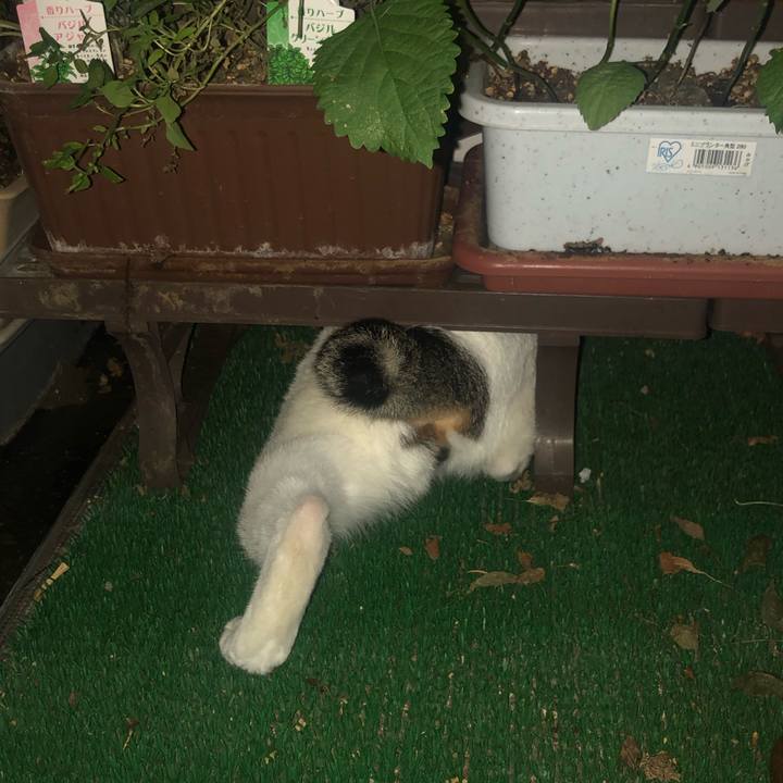 B14829b1 ac15 4fba 8f0d 5ad100c7d651 1597754049405