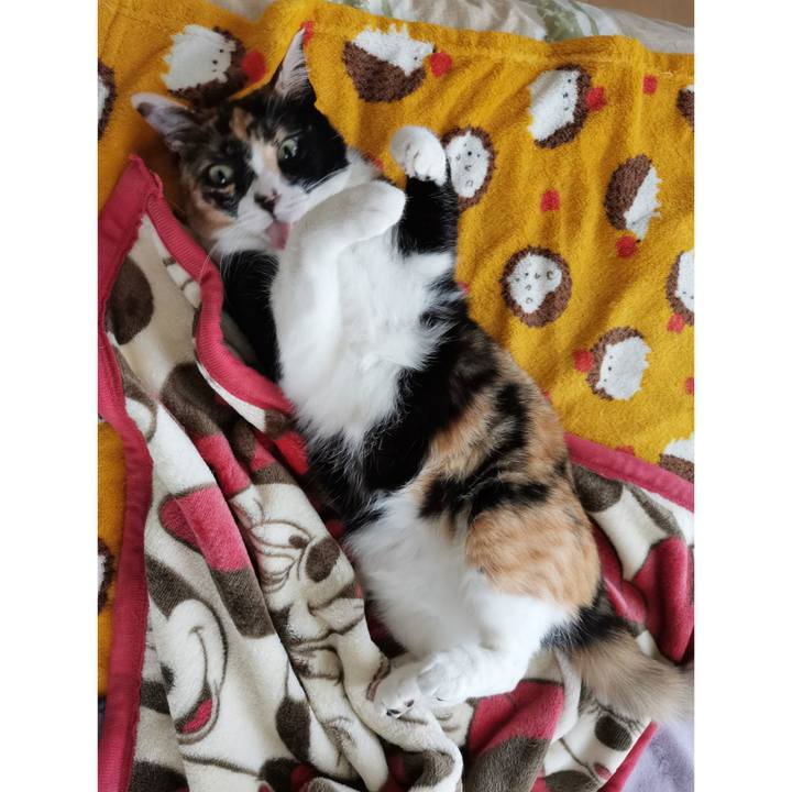 B1483311 81dd 4498 8a4e cf7b5a7fe854 1681702774692