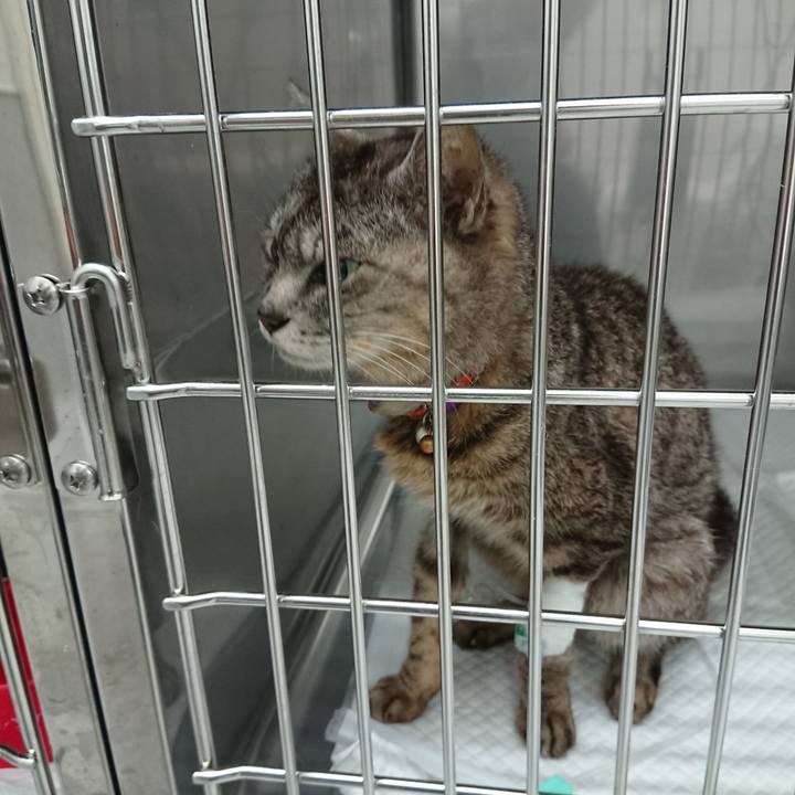 B14837bc 1bad 46a7 b2f3 31e8b0d54696 1595324594045