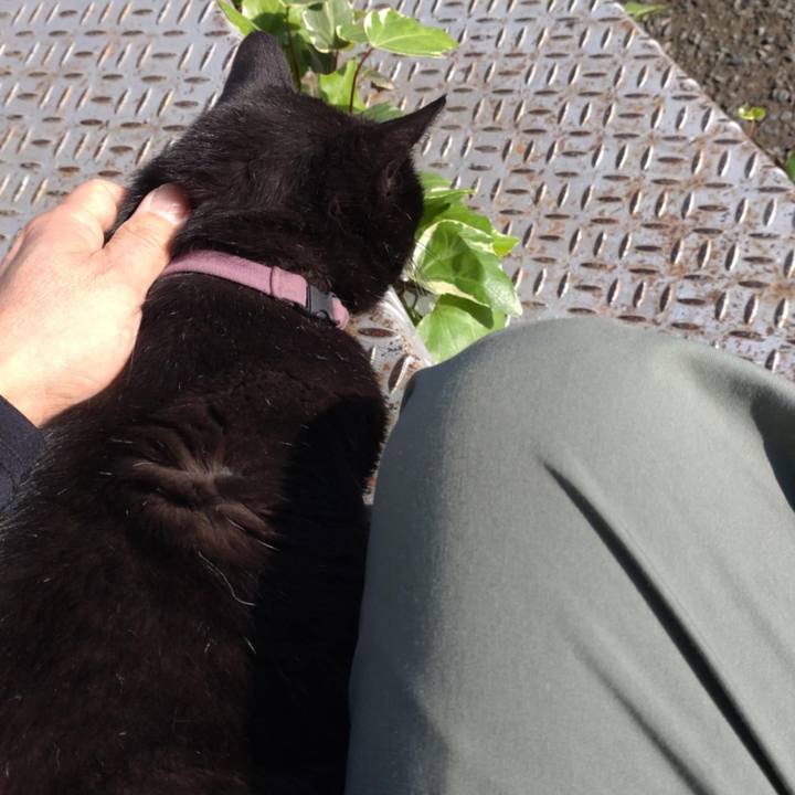 B14886cb 8753 45e2 bb35 1ad23bc10fbf 1730421479540