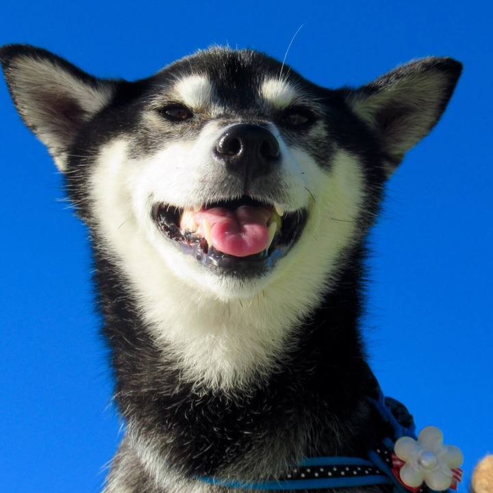 B14890b6 54df 4217 82b3 594a504aad98 1599094879602