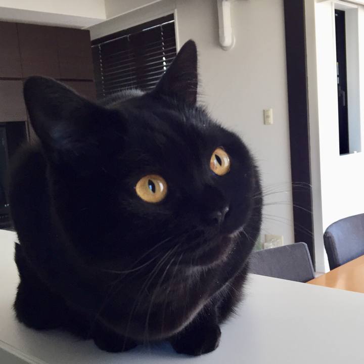 B14897c7 79a3 4ae9 98e6 dc45a24086d4 1577497101712