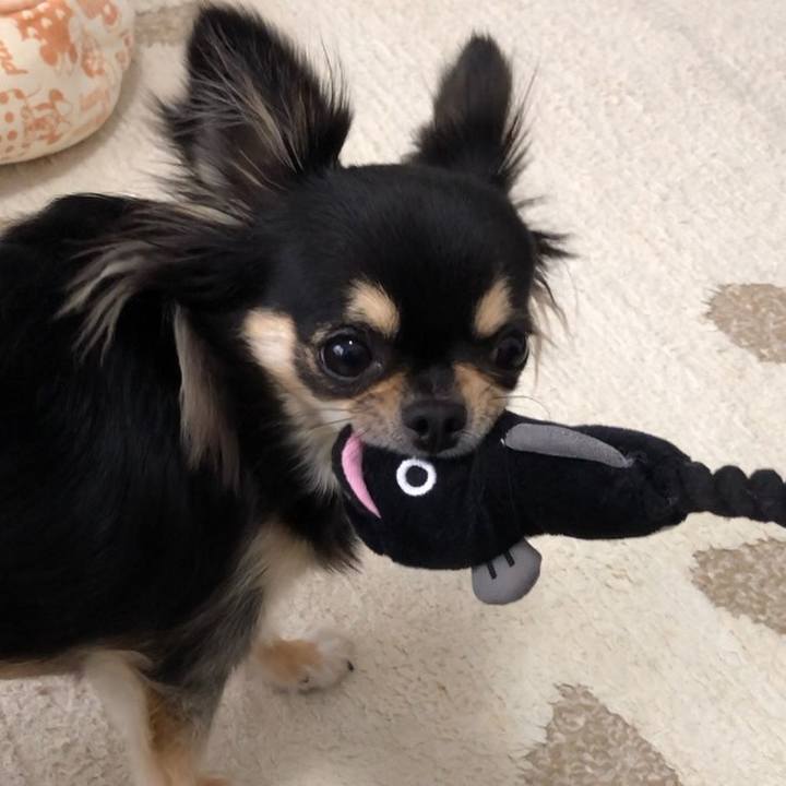 B1489c73 b999 49da 9965 6ea779897459 1561593428254