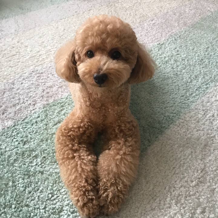 B148a7c9 592c 44b3 8237 2716aa2a06e4 1528419444841