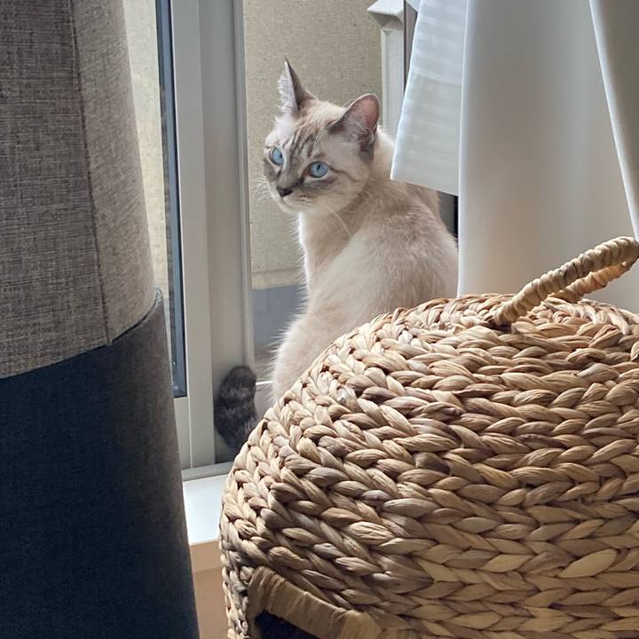 B149033a 0ad8 4edf a4a7 526f3de7114c 1631580449538