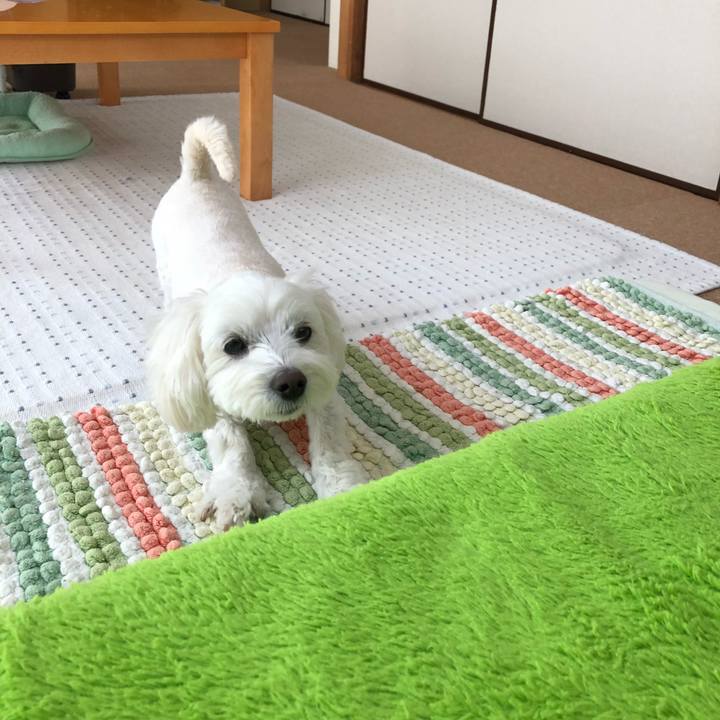 B14926a4 bcf6 4f02 a95b 84f08f907249 1523618373330