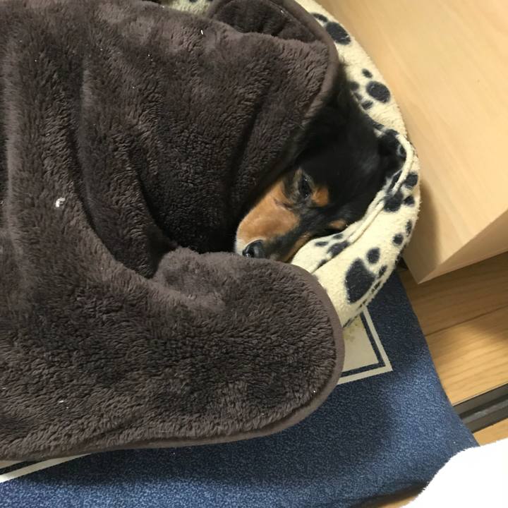 B14929f9 0f9c 4bc0 90dc eb8f32a0a706 1515507259856