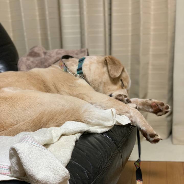 B1495e2c 1dd5 4157 ac41 696e5e18d786 1556462438934