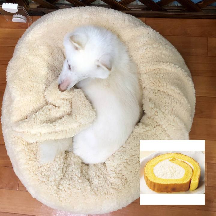 B149707a 19ac 4c70 b756 f980e10579df 1549980409795