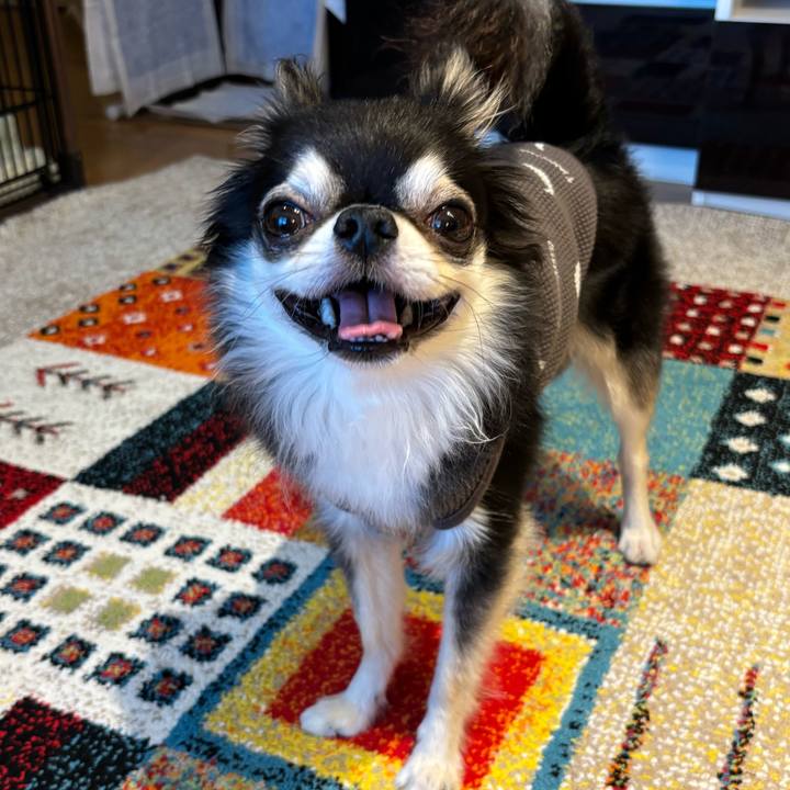 B149844a db39 45cd a1e0 d42709812bdc 1728837149320