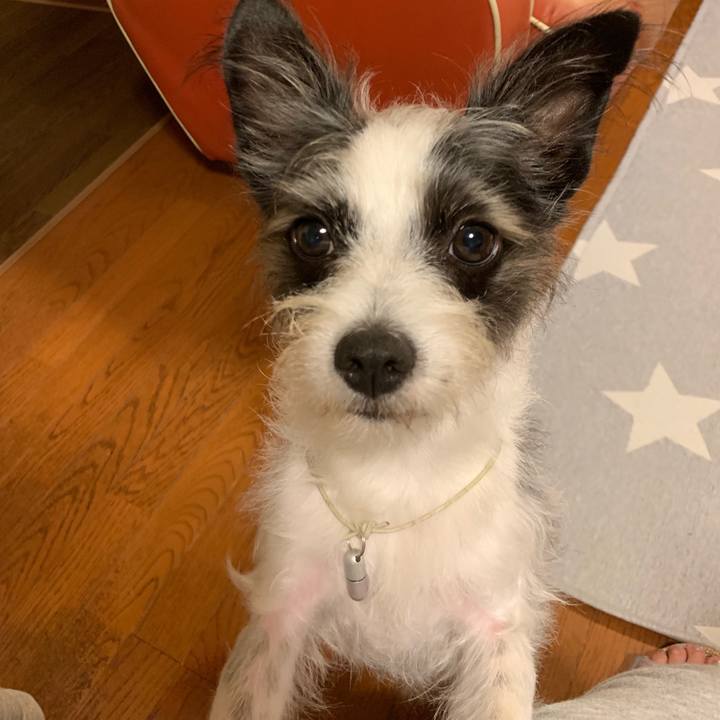 B149a771 b0dd 4b4d a74d 4741b54fd2fc 1567520834569